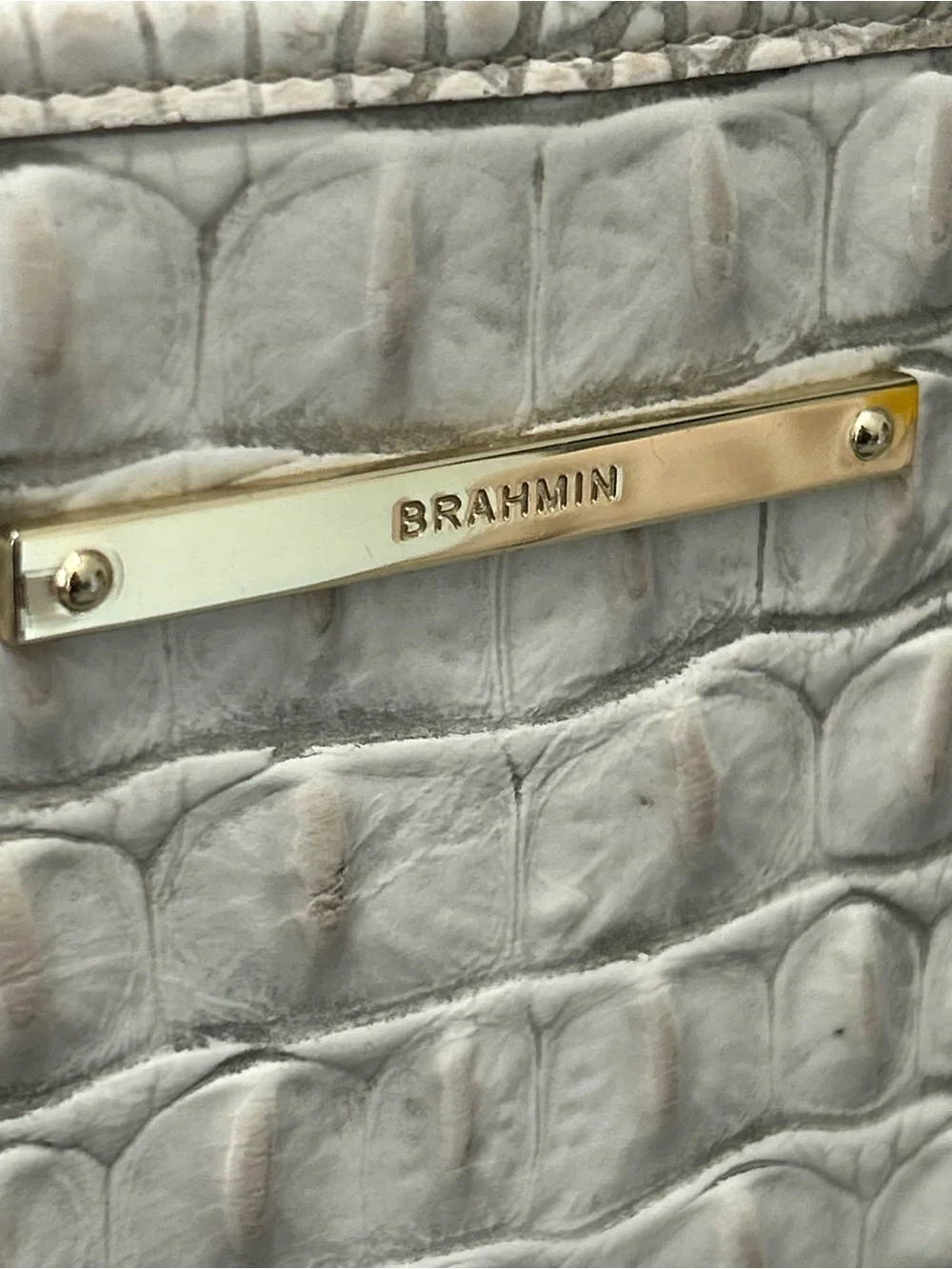 Brahmin preowned well